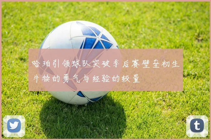 哈珀引领球队突破季后赛壁垒初生牛犊的勇气与经验的较量